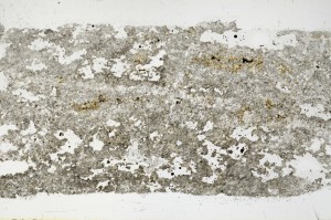 Plane Polarized, S68546