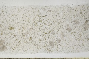 Plane Polarized, S68550