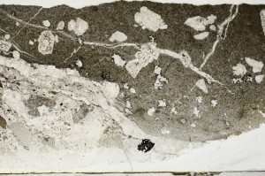 Plane Polarized, S68577