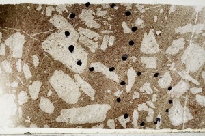 Plane Polarized, S68588