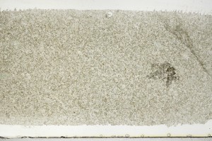 Plane Polarized, S68631/A