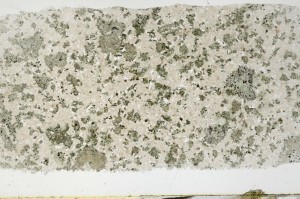 Plane Polarized, S68636