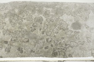 Plane Polarized, S68643