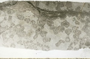 Plane Polarized, S68643/A