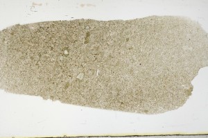 Plane Polarized, S68646