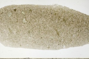 Plane Polarized, S68646/A