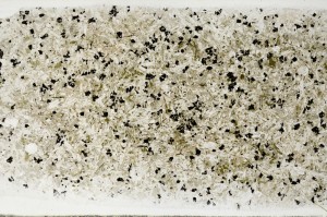 Plane Polarized, S68662