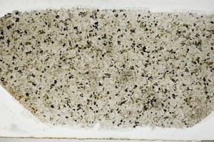 Plane Polarized, S68663