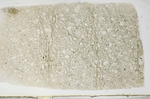 Plane Polarized, S68671