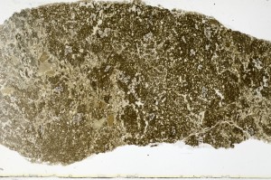 Plane Polarized, S68672