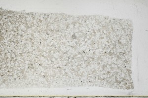 Plane Polarized, S68696