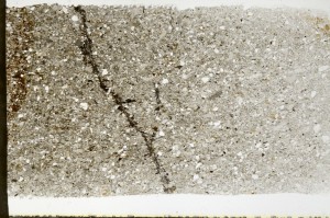 Plane Polarized, S68716