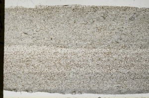Plane Polarized, S68743