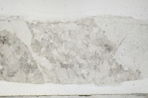 Plane Polarized, S68747