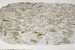 Plane Polarized, S68763