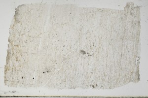Plane Polarized, S68764