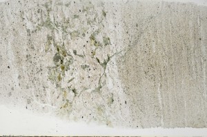 Plane Polarized, S68769