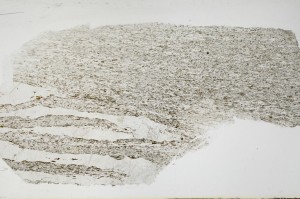 Plane Polarized, S68771
