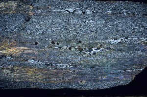Cross Polarized, S68773
