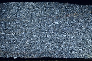 Cross Polarized, S68774