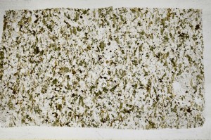 Plane Polarized, S68785