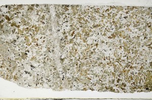 Plane Polarized, S68788