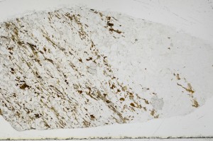 Plane Polarized, S68815