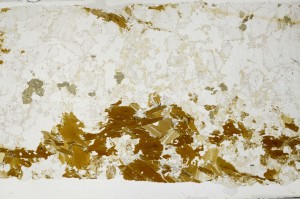 Plane Polarized, S68828