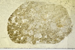 Plane Polarized, S68833