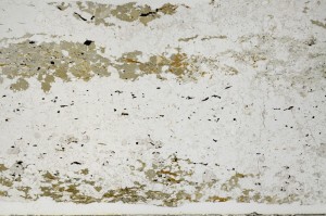 Plane Polarized, S68838