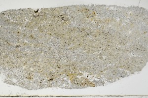 Plane Polarized, S68844
