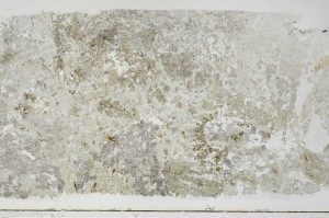 Plane Polarized, S68845
