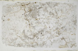 Plane Polarized, S68852