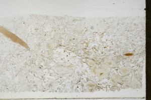 Plane Polarized, S68853