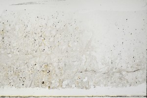 Plane Polarized, S68856
