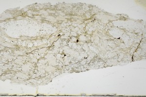 Plane Polarized, S68861