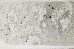Plane Polarized, S68873