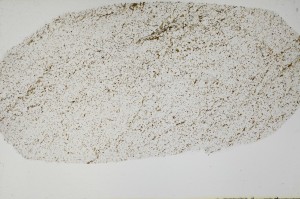 Plane Polarized, S68876