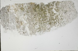 Plane Polarized, S68878