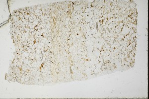 Plane Polarized, S68885