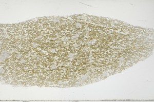 Plane Polarized, S68889