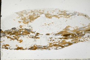Plane Polarized, S68891