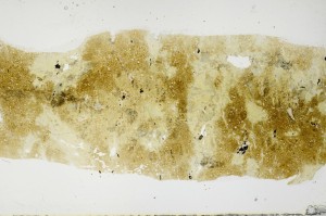 Plane Polarized, S68895