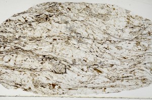 Plane Polarized, S68896