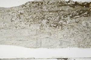Plane Polarized, S68900