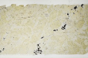 Plane Polarized, S68901