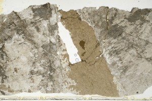 Plane Polarized, S68902