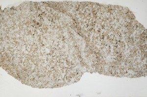 Plane Polarized, S68909