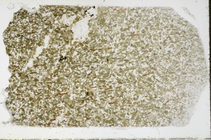 Plane Polarized, S68931