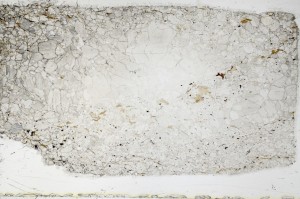 Plane Polarized, S68932/B